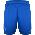 Damen AFC Bournemouth 2025/26 Auswärtsshorts Damen AFC Bournemouth 2025/26 Auswärtsshorts