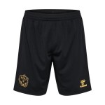 Herren ASSE 2024/25 Drittes Shorts