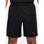 Herren FC Barcelona 2024/25 Auswärtsshorts