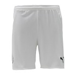 Damen Rennes 2024/25 Auswärts Shorts