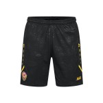 Herren Dynamo Dresden 2025/26 Heimshorts