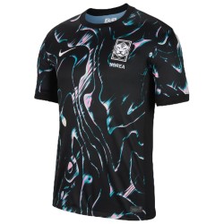 Südkorea Auswärtstrikot 2024