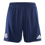 Herren FC Schalke 04 2024/25 Drittes Shorts