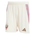 Herren D.C. United 2025 Auswärts Shorts