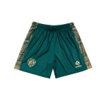 Herren VIS Aurelia 2025/26 Heim Shorts