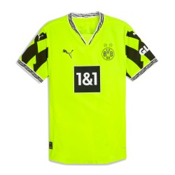 Herren BVB Borussia Dortmund 2024/25 Spezialtrikot