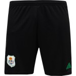 Herren PEC Zwolle 2024/25 Auswärtsshorts