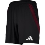 Herren 1. FC Nürnberg 2024/25 Heim Shorts