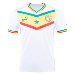 Senegal Heimtrikot Weltmeisterschaft 2022