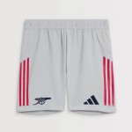 Herren Arsenal 2025/26 Alternative Auswärtsshorts Herren Arsenal 2025/26 Alternative Auswärtsshorts