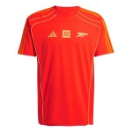 Herren Arsenal x NTS 2025/26 Urban Purist Trikot - Orange