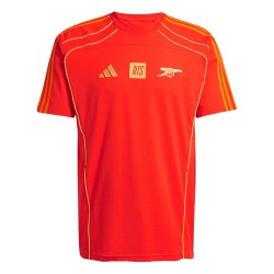 Herren Arsenal x NTS 2025/26 Urban Purist Trikot - Orange