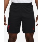 Herren Liverpool 2024/25 Drittes Shorts
