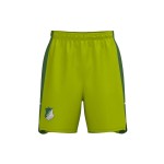 Herren TSG Hoffenheim 2024/25 Drittshorts