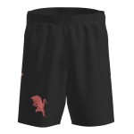 Herren Torino 2025/26 Dritte Shorts