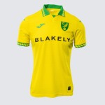 Damen Norwich City 2025/26 Heimtrikot Damen Norwich City 2025/26 Heimtrikot