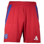 Kinder Hamburger SV 2024/25 Heim Shorts