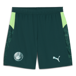 Herren Manchester City 2025/26 Dritte Fußballshorts