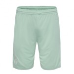 Damen Werder Bremen 2024/25 Auswärtsshorts Damen Werder Bremen 2024/25 Auswärtsshorts