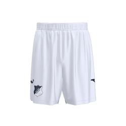 Herren TSG Hoffenheim 2025/26 Ausweichshorts