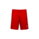 Herren SSV Jahn Regensburg 2025/26 Heimshorts
