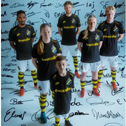 Herren AIK 2025 Heimshorts