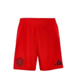 Kinder Bayern München 2024/25 Heim Shorts