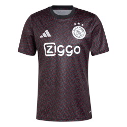 Herren Ajax 2024/25 Dritt Präsentationsshirt